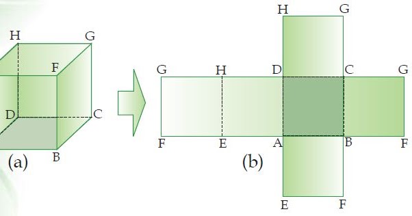 Soal Matematika Kelas 5 KD 3.6 Jaring-Jaring Kubus dan Balok