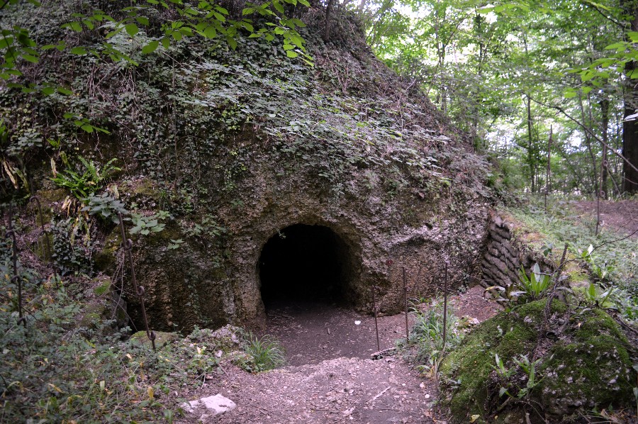 L Itinerario Dei Bunker Sul Montello Grande Guerra Montagna Di Viaggi