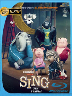 Sing: ¡Ven y canta (2016) HD [1080p] Latino [GoogleDrive] chapelHD