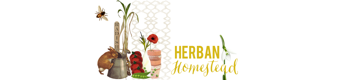 herban homestead