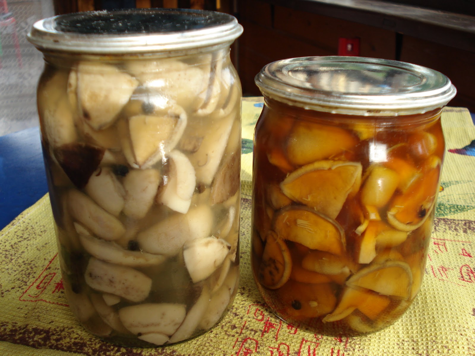 Грибы грузди соленые. Маринованные дубовики. Грибы в банке. Грибы грузди соленые на зиму. Рядовка тополевая приготовление маринование на зиму.