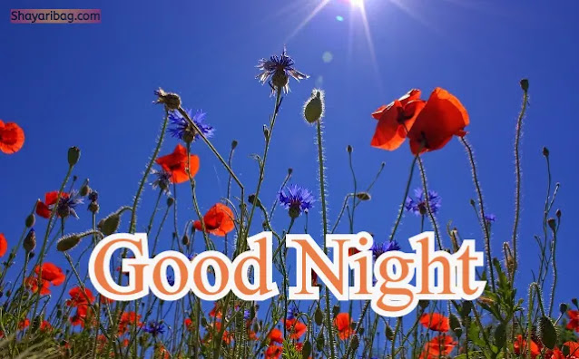 Good Night Flowers DP Good Night Flowers DP