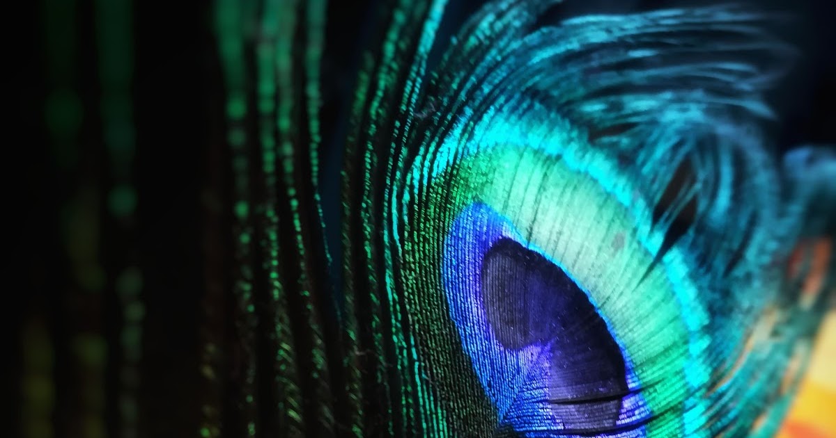 synonyms for beautiful