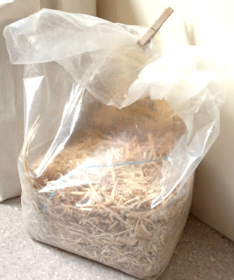 A plastic bag of straw. It is being held closed at the top by a wooden peg.