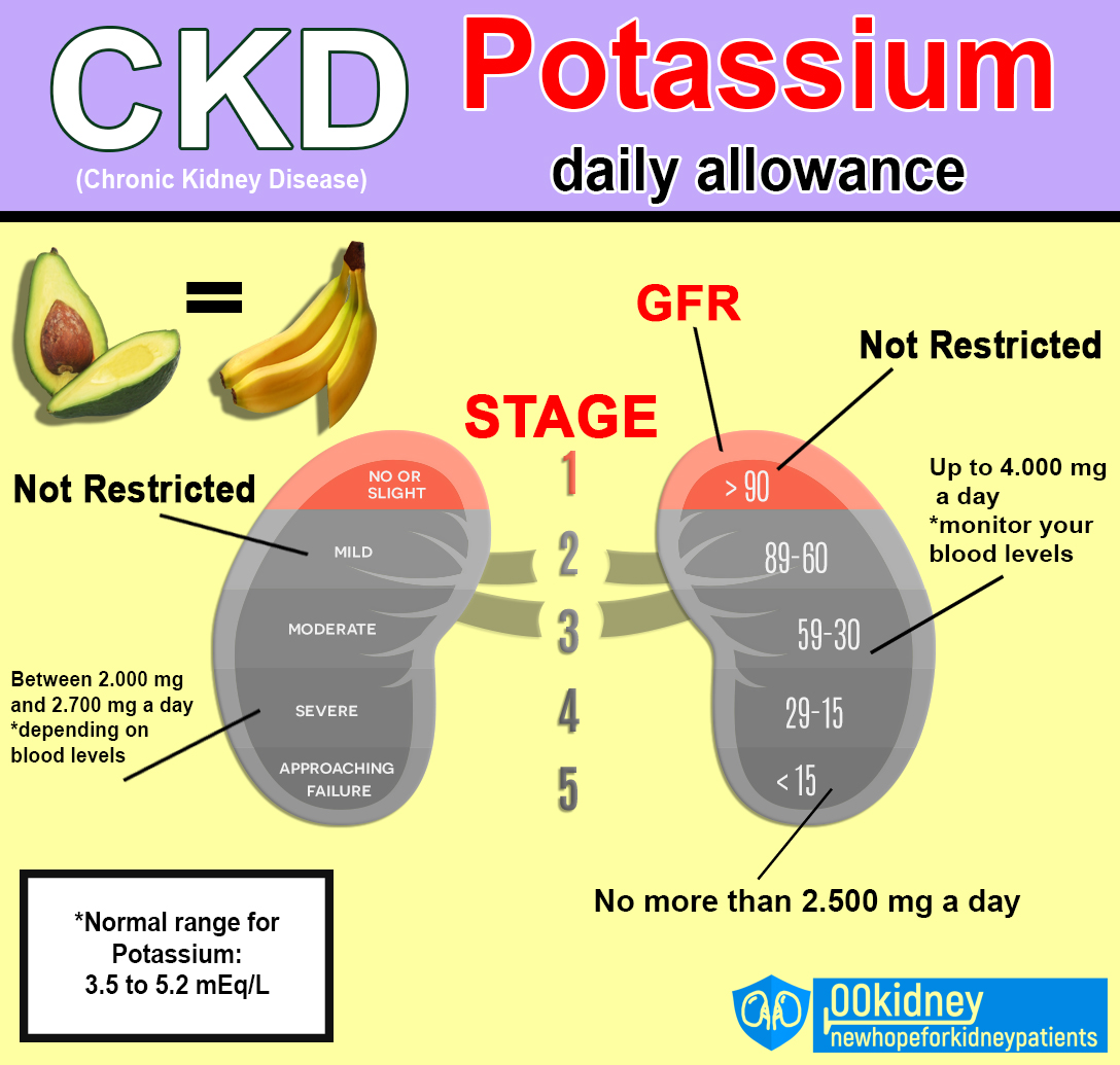 is-it-really-possible-to-get-off-kidney-dialysis-potassium-and-kidney