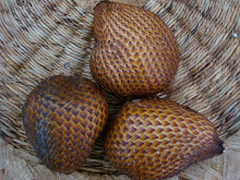 Salak