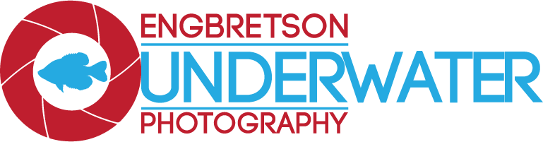 Engbretson Underwater Photography