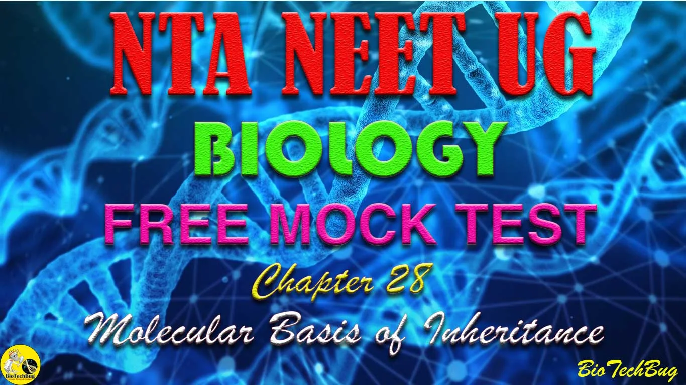 NEET Biology Chapter 28 Molecular Basis of Inheritance Free Online Mock