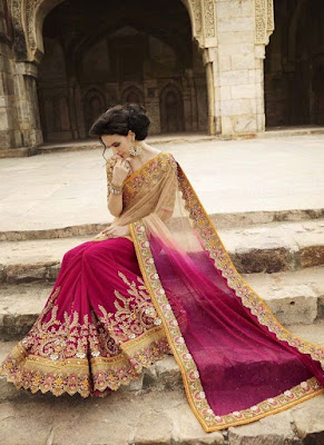 Beautiful Indian style wedding and party dress.