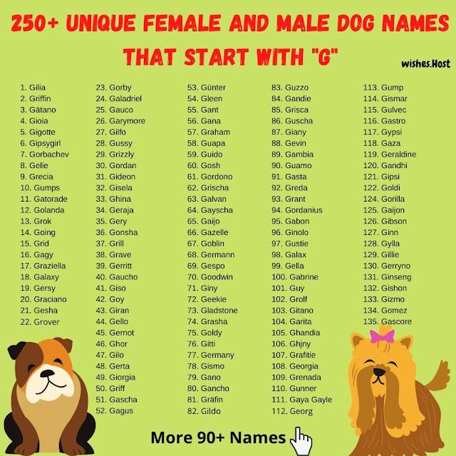 Dog Names That Start with G for Girl and Boy Dog - Your Hop