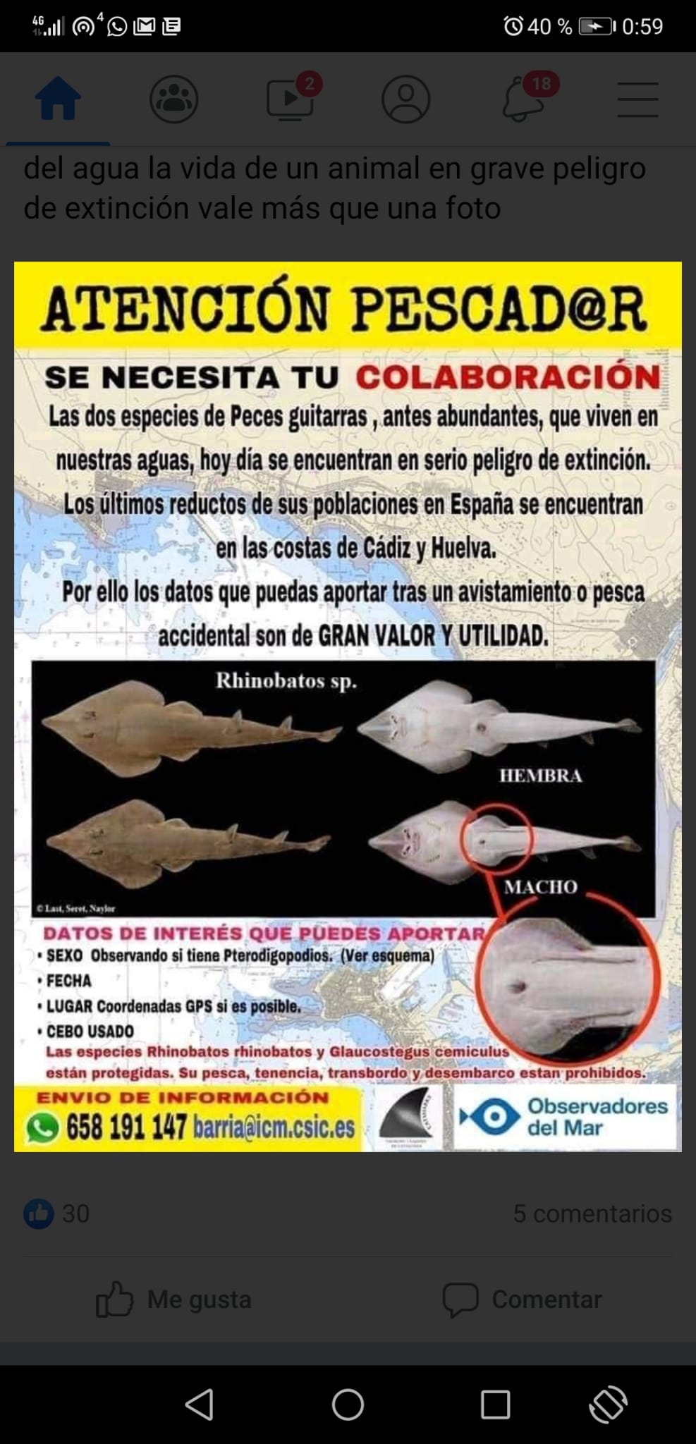 CURSO DE OBTENCIÓN DE LICENCIA DE PESCA CONTINENTAL EN ANDALUCÍA: Es legal  la Sonda Para embarcación en la pesca Continental en Andalucía?