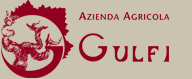 Gulfi Logo