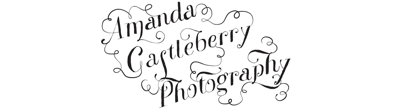Amanda Castleberry Photography