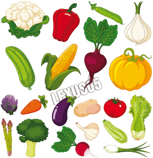 fresh vegetables clipart - photo #8