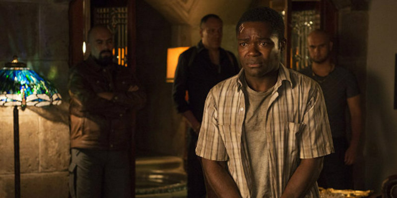 gringo review