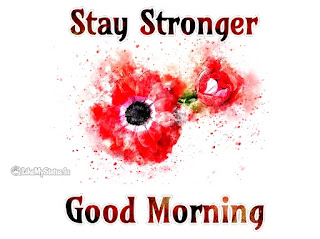 Stay stronger good morning