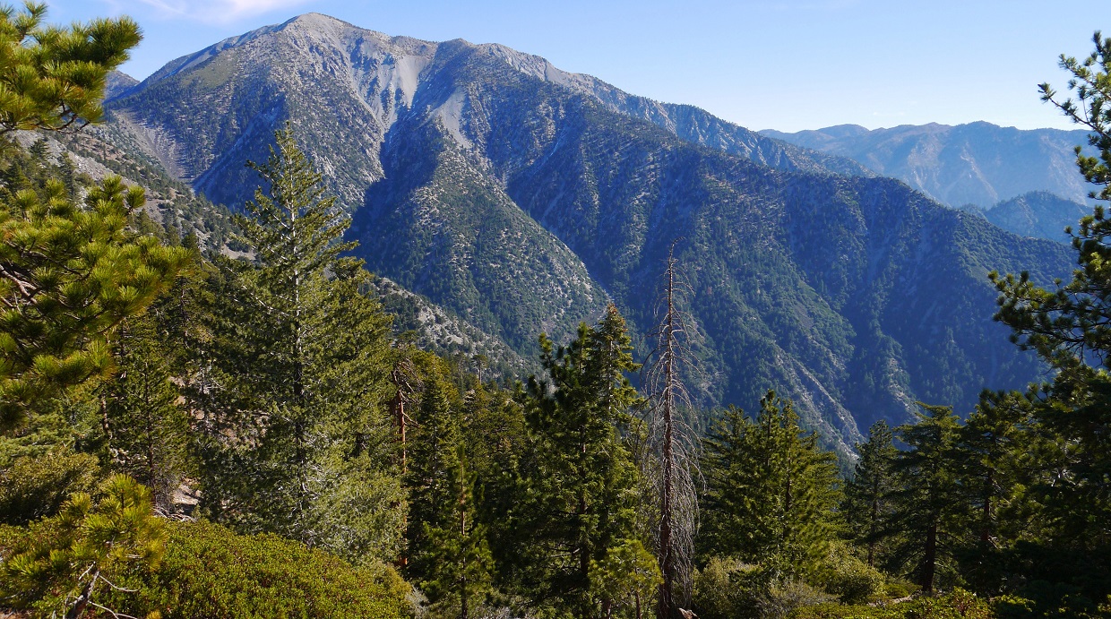 Peaks For Freaks Bonita Peak, Iron Mountain, Peak 3529, Glendora Mountain
