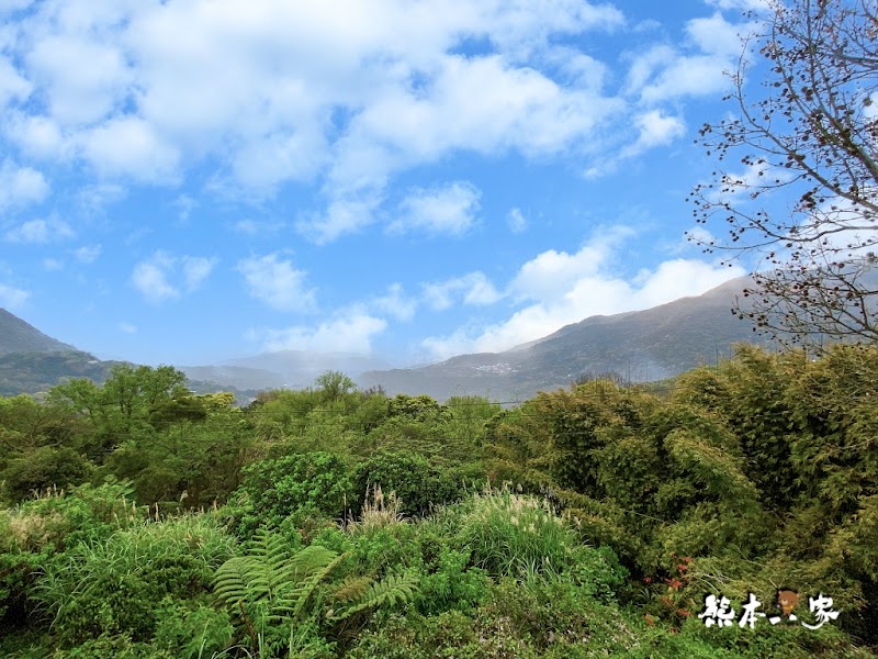 陽明山秘境景觀咖啡廳「山上聊」cafe森林系下午茶
