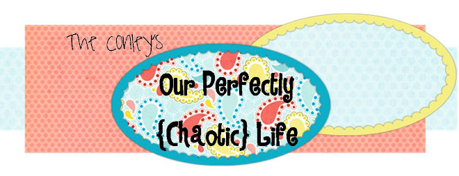 The Conley Family | Welcome to our Perfectly Chaotic Life