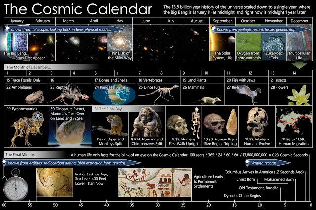 Scientia potentia est: The universe: Reading the future from the distant past