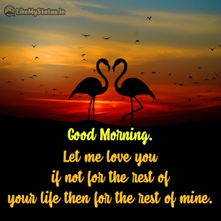 Good morning quotes and Wishes