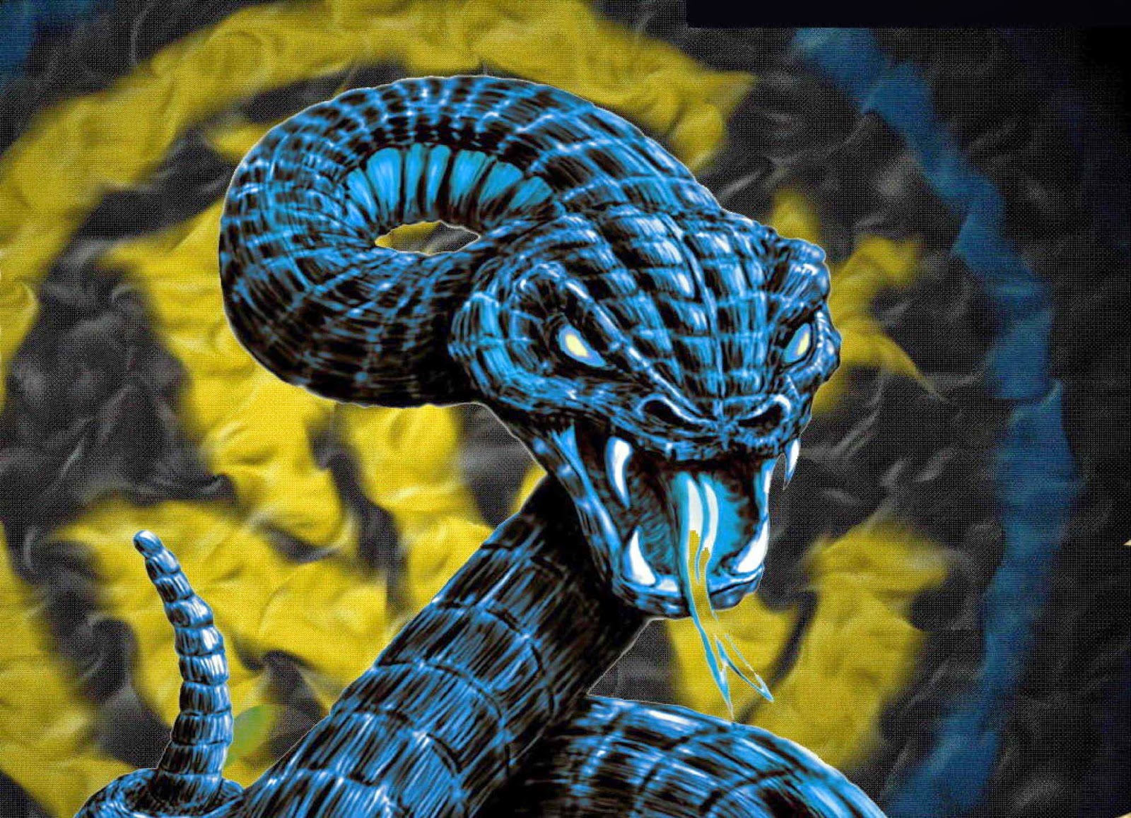 HD Wallpapers: King Cobra Snake HD Wallpapers
