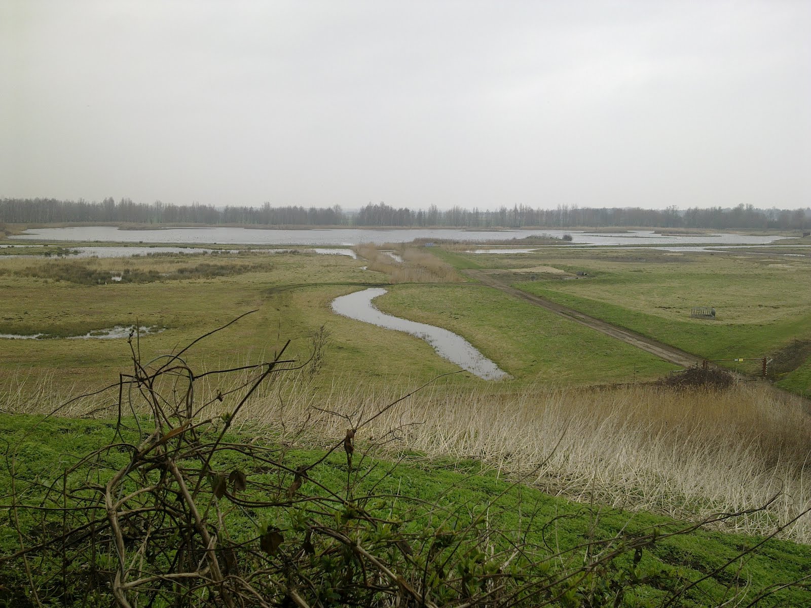 The Wicken Fen Rangers' Blog A nice walk to Kingfisher Bridge