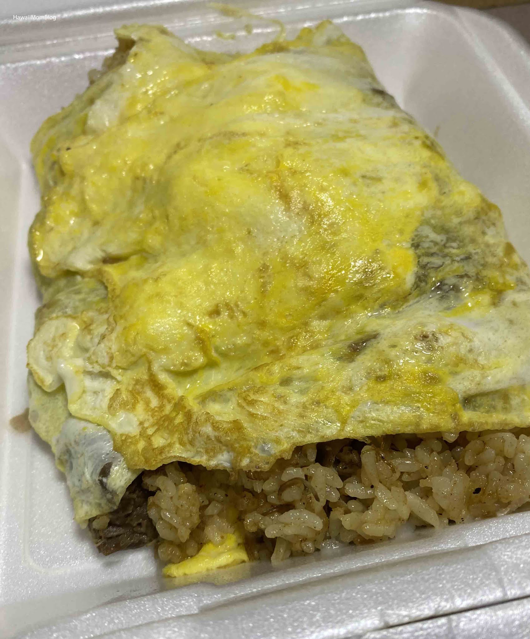 Hawaii Mom Blog Elena's ToGo