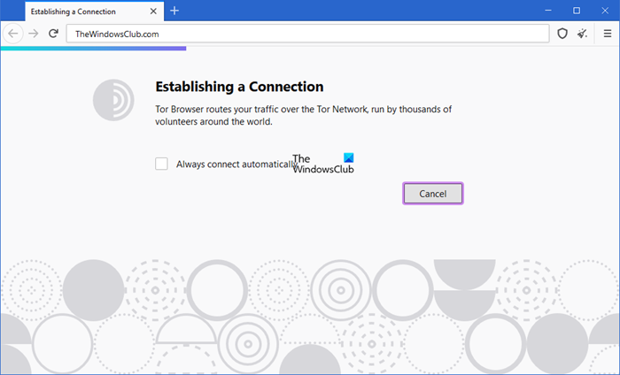 Adobe для tor browser mega2web тор браузер заблокирован mega