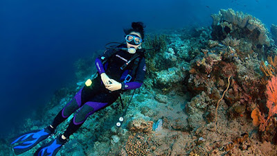 paket tourmanado bunaken wisata pantai manado ,wisata bunaken Tour manado , wisata alam manado ,wisata kuliner halal ,wonderful indonesia ,traveling ,wisata manado tua ,wisata manado minahasa ,wisata bawah laut manado , paket tour bunaken