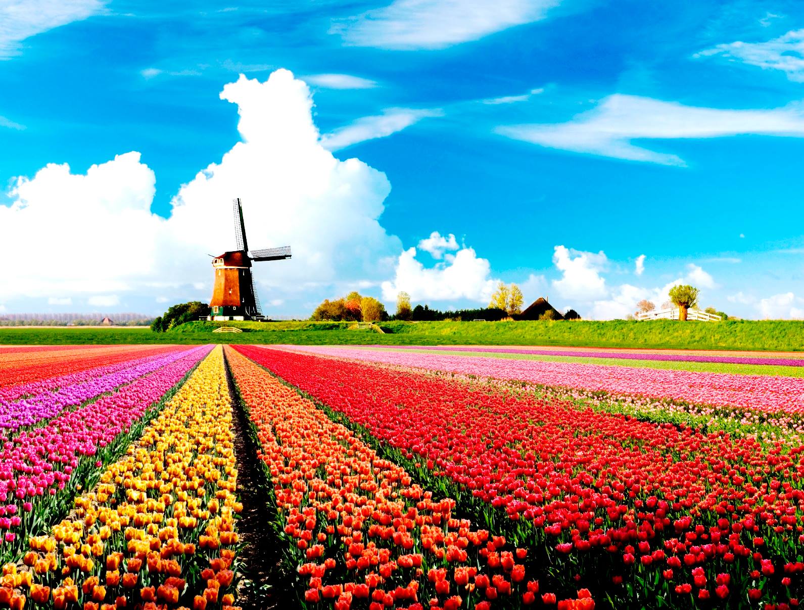 Holanda (Países Baixos)