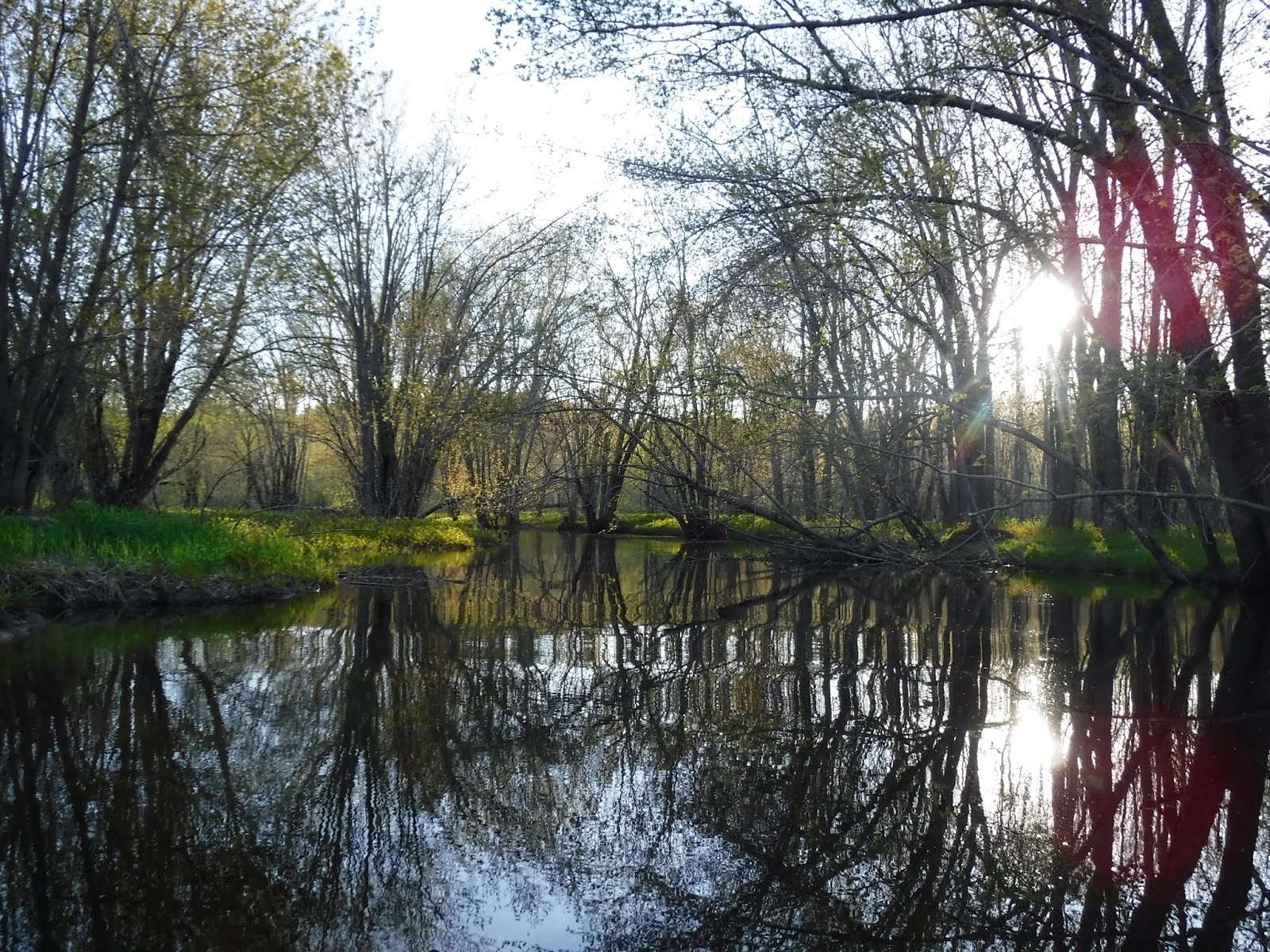 to Kayaking Hammond Pond and West Branch