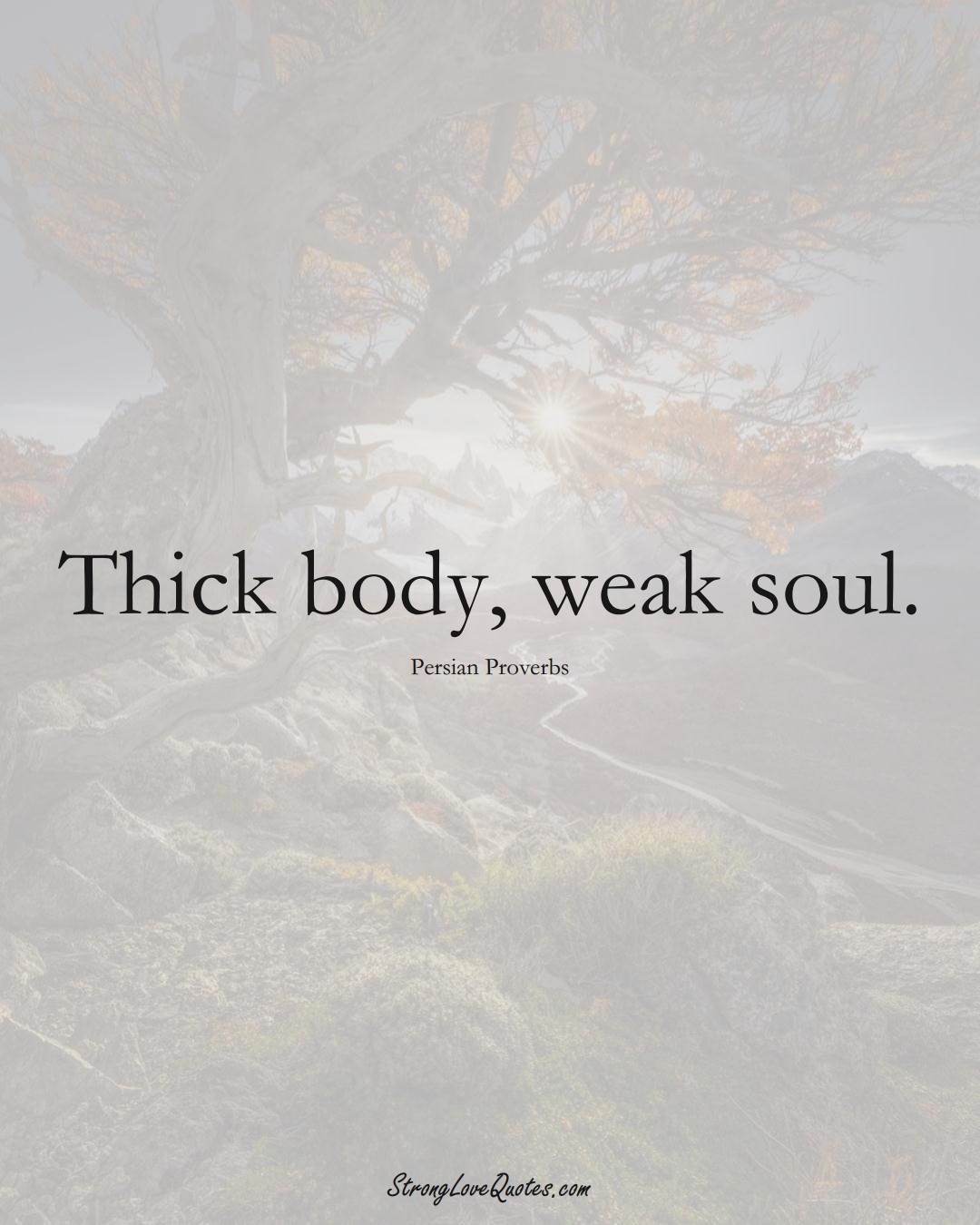 Thick body, weak soul. (Persian Sayings);  #aVarietyofCulturesSayings