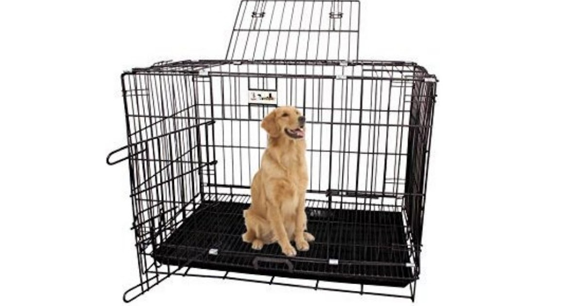 Gadget Review Best Dog Kennels in India Jainsons Pet Products Black
