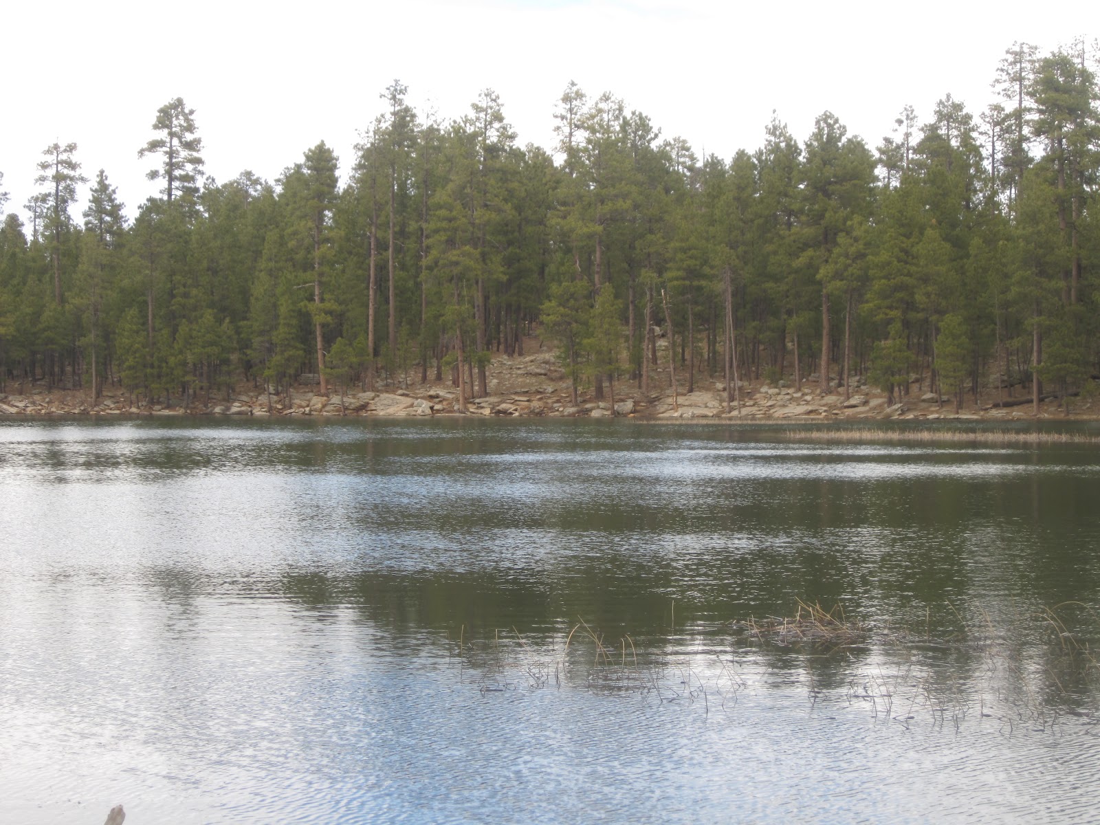 The Hancock Haven Beautiful, Secluded Cabin for Rent in Forest Lakes
