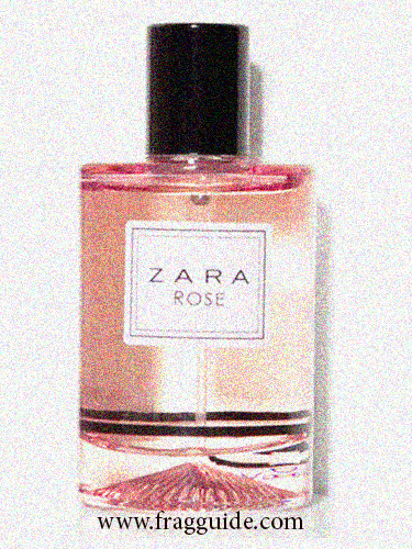 Women S Perfumes Zara United States