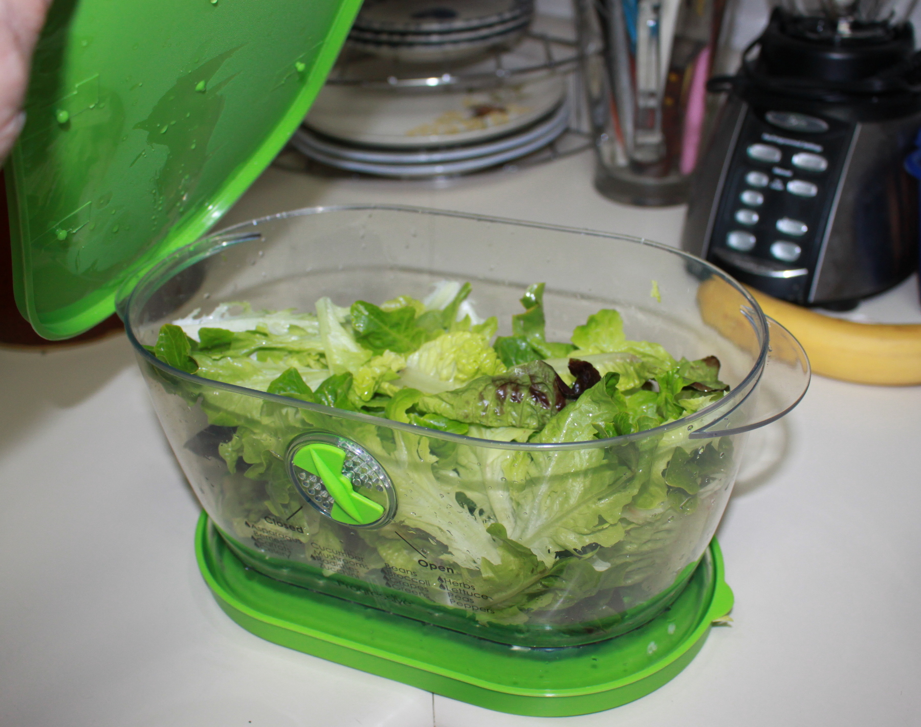 Reflections of katlupe Ten Of My Kitchen Favorites