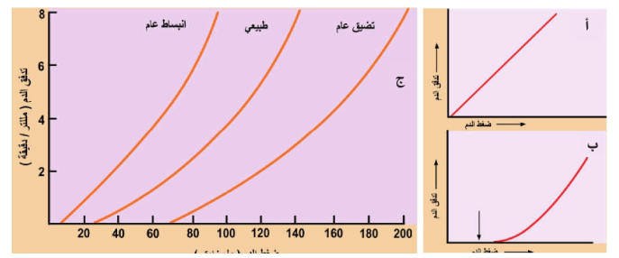 من نسيج الدم وإليه تدفق القلب نستطيع عمل