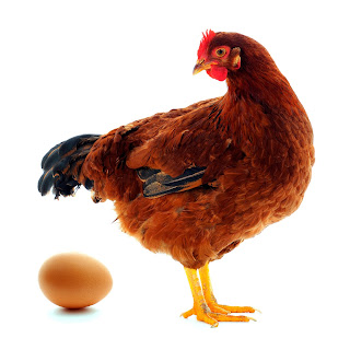Duluan Mana Ayam atau Telur ?