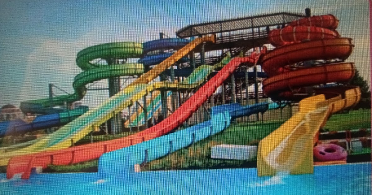 3rd graders Science and English blog: Natural Science lesson