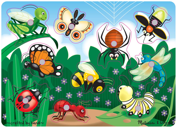 Картинки дошкольникам насекомые