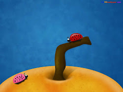 ipad hd wallpapers collection background brand uplod scree