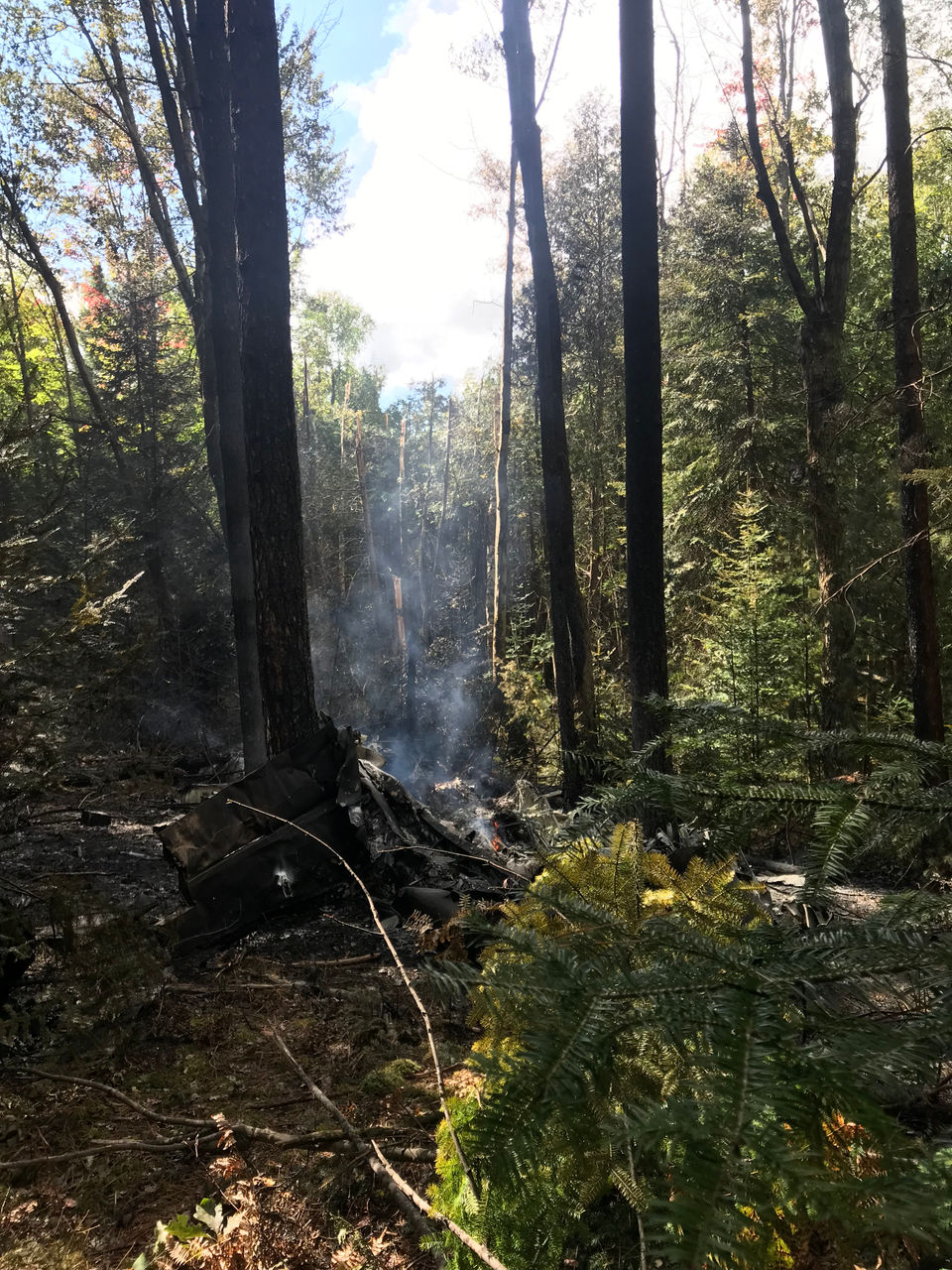 MEC&F Expert Engineers The pilot was killed after the 1977 Beechcraft