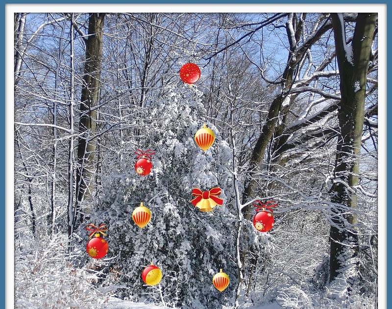 Fotoliesels Erlebniswelt: Frohe Weihnachten....und vor allem Gesundheit
