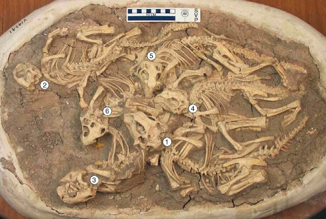 Short duration of the Yixian Formation and 'Chinese Dinosaur Pompeii'