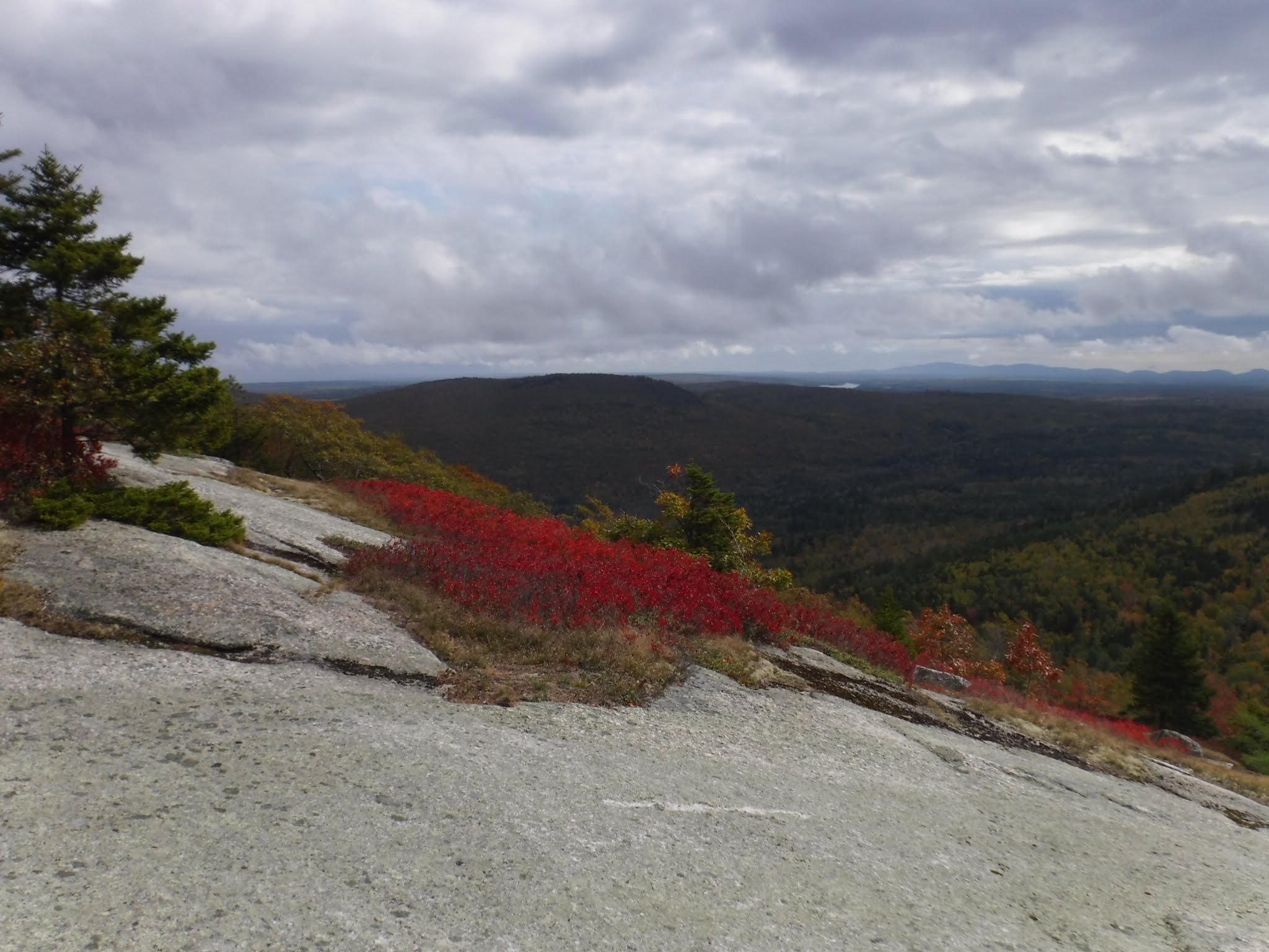 Great Pond Mountain Stuart Gross Trail (Orland)