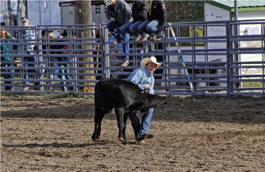 PRO LEISURE CIRCUIT RODEO