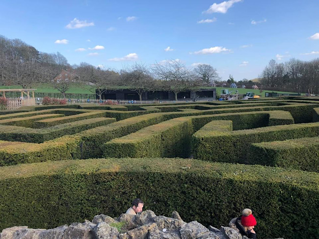The maze at Leeds Castle in Spring