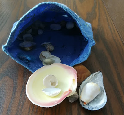Open bag with seashells