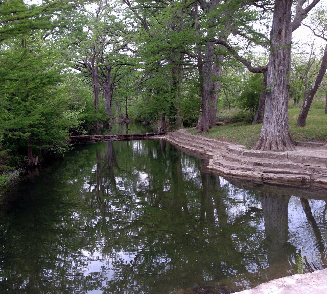 Spring in the Texas Hill Country HYACINTHS FOR THE SOUL